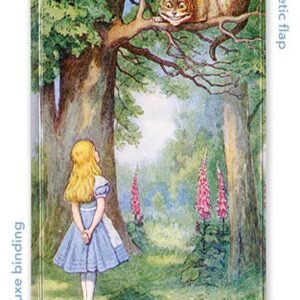 Alice and the Cheshire Cat By: flame tree studio